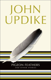 Pigeon Feathers 