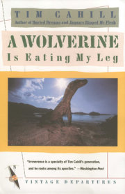 A Wolverine Is Eating My Leg 