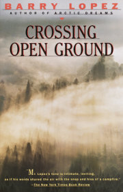 Crossing Open Ground 