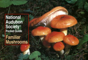 National Audubon Society Pocket Guide: Familiar Mushrooms 