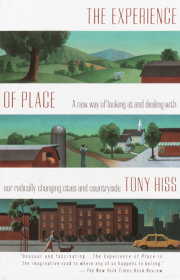 The Experience of Place 