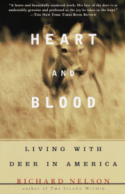 Heart and Blood