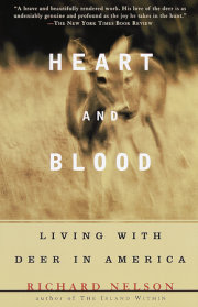 Heart and Blood 