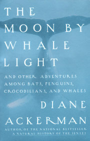 Moon By Whale Light 