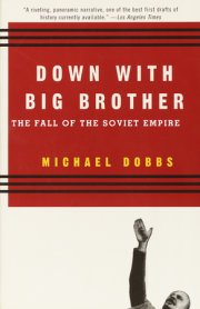 Down with Big Brother 