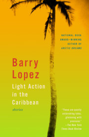 Light Action in the Caribbean 