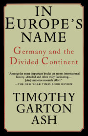 In Europe's Name 