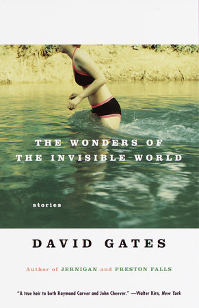 The Wonders of the Invisible World by David Gates: 9780679756446