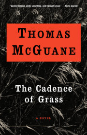 The Cadence of Grass 