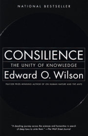 Consilience 