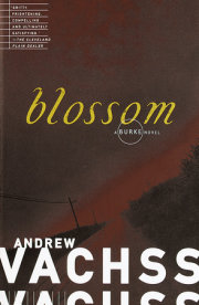 Blossom 