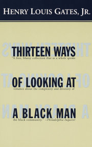 Thirteen Ways of Looking at a Black Man 