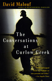 The Conversations at Curlow Creek