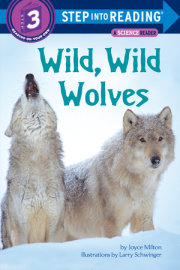 Wild, Wild Wolves 