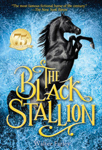 Book cover for The Black Stallion