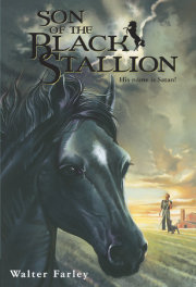 Son of the Black Stallion 