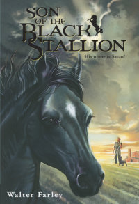 Book cover for Son of the Black Stallion