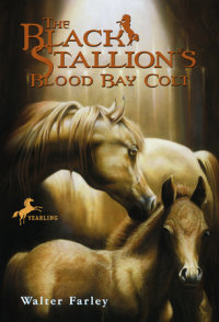 Book cover for The Black Stallion\'s Blood Bay Colt