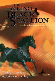 The Young Black Stallion 