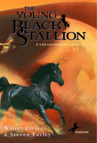 Book cover for The Young Black Stallion