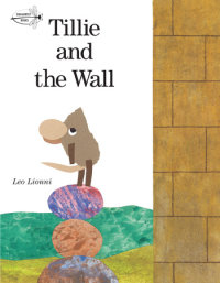 Book cover for Tillie and the Wall