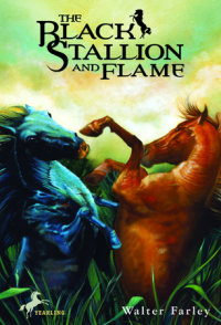 Book cover for The Black Stallion and Flame