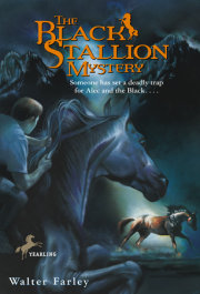 The Black Stallion Mystery 