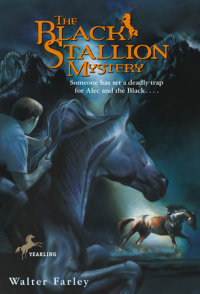Book cover for The Black Stallion Mystery