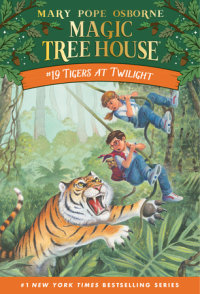 Cover of Tigers at Twilight