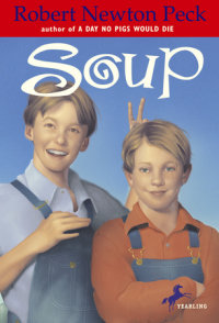 Book cover for Soup