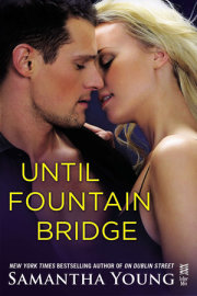 Until Fountain Bridge 