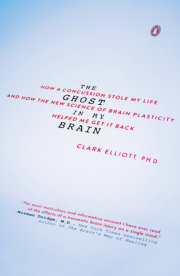 The Ghost in My Brain 