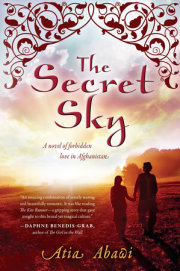 The Secret Sky 