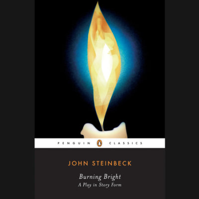 Burning Bright cover