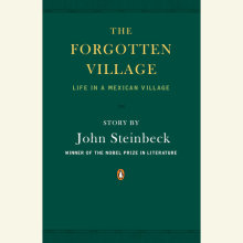 The Forgotten Village Cover