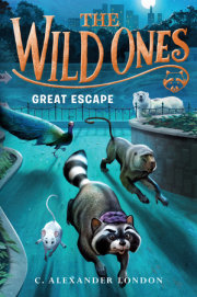 The Wild Ones: Great Escape 