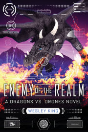 Enemy of the Realm 