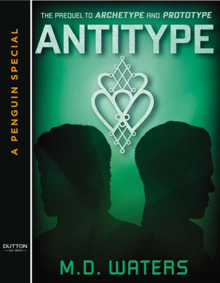 Antitype