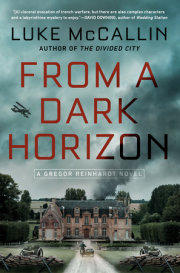 From a Dark Horizon 