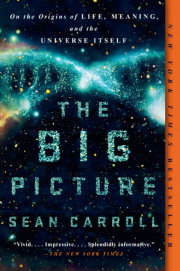 The Big Picture 