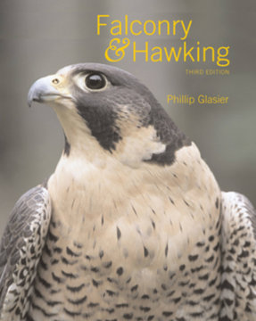 Falconry and Hawking - Author Phillip Glasier