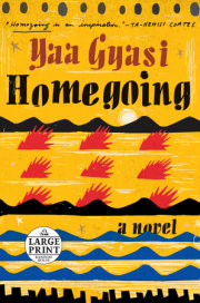Homegoing 