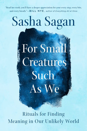 Small Steps (Paperback)