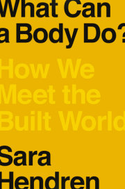 What Can a Body Do? 