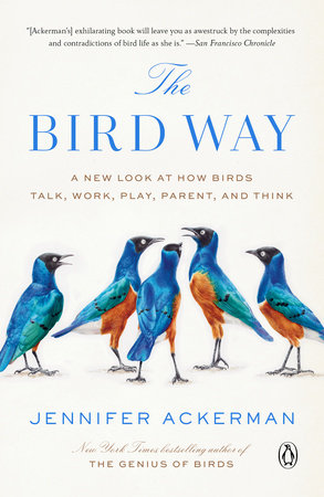 Book Review: The Bird - WSJ