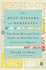 The Deep History of Ourselves 