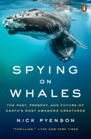 Spying on Whales 