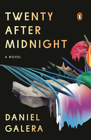 midnight book cover