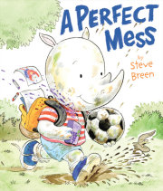 A Perfect Mess 