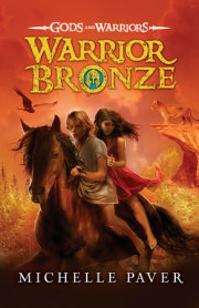 Warrior Bronze 